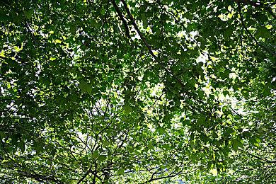 恐龙射击生存《二次灭绝》更新 新角色新模式跨平台联机